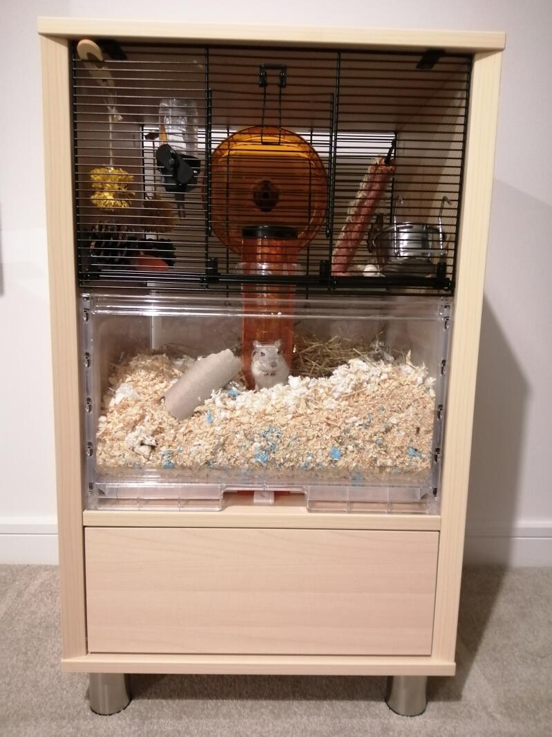 Qute Hamster & Gerbil Cage Stylish Hamster House
