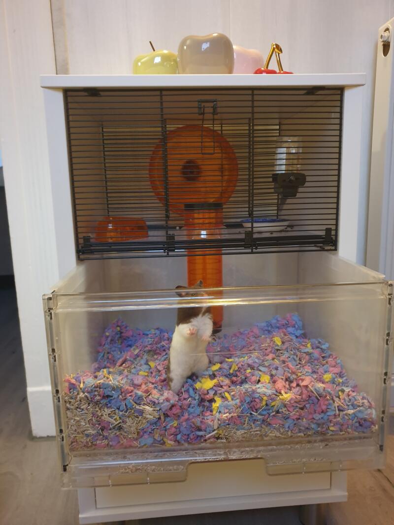 omlet hamster cage