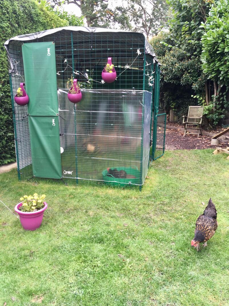 Clear Wind Break Kit for Chicken Fencing Eglu Coop Weather Protection