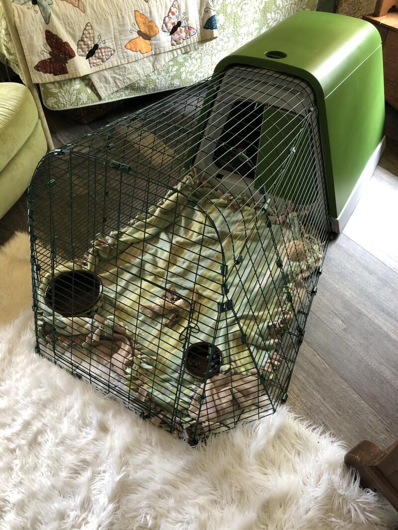 Eglu Go Guinea Pig Hutch Plastic House for Guinea Pigs Omlet