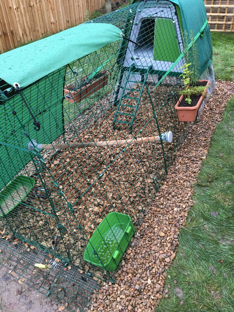 Raised Chicken Coop Eglu Go UP Omlet