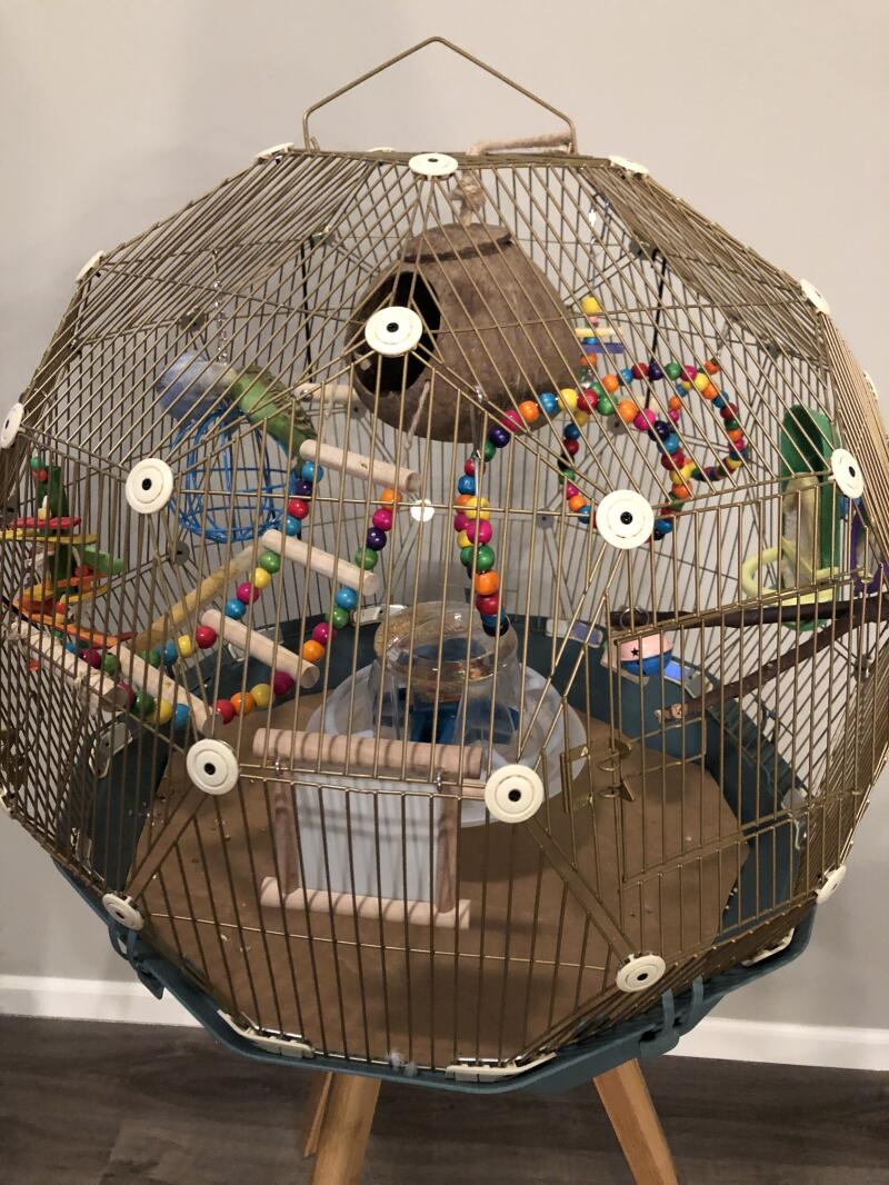 Reviews for Geo Bird Cage Birds Omlet