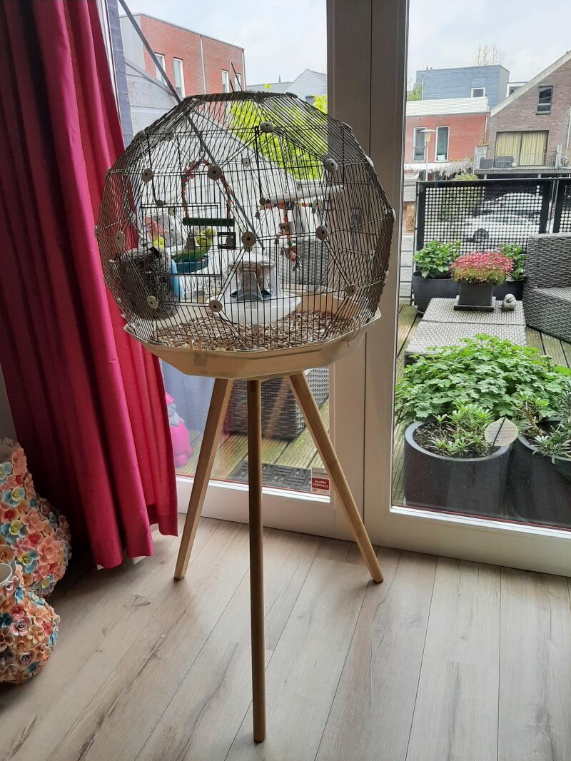 Geo Bird Cage The Beautiful Geodesic Budgie Cage