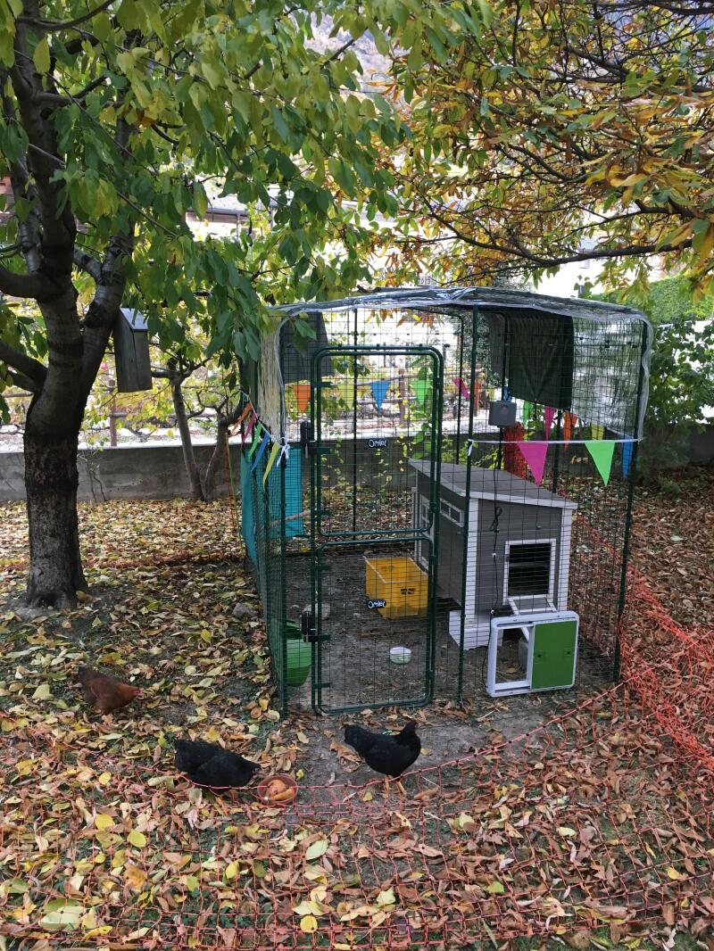Walk in Chicken Runs Large Chicken Pen Omlet Chicken Coops