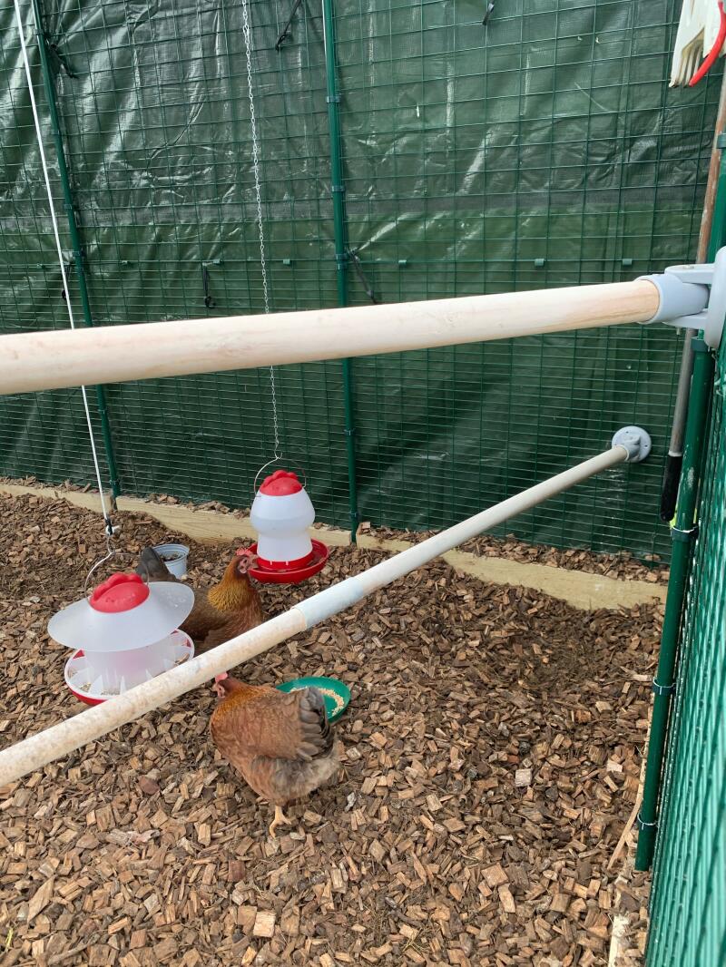 Omlet The Omlet Chicken Perch Chicken Coops, Chicken Runs, Chicken
