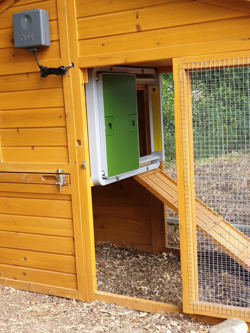Automatic Chicken Coop Door Opener Omlet