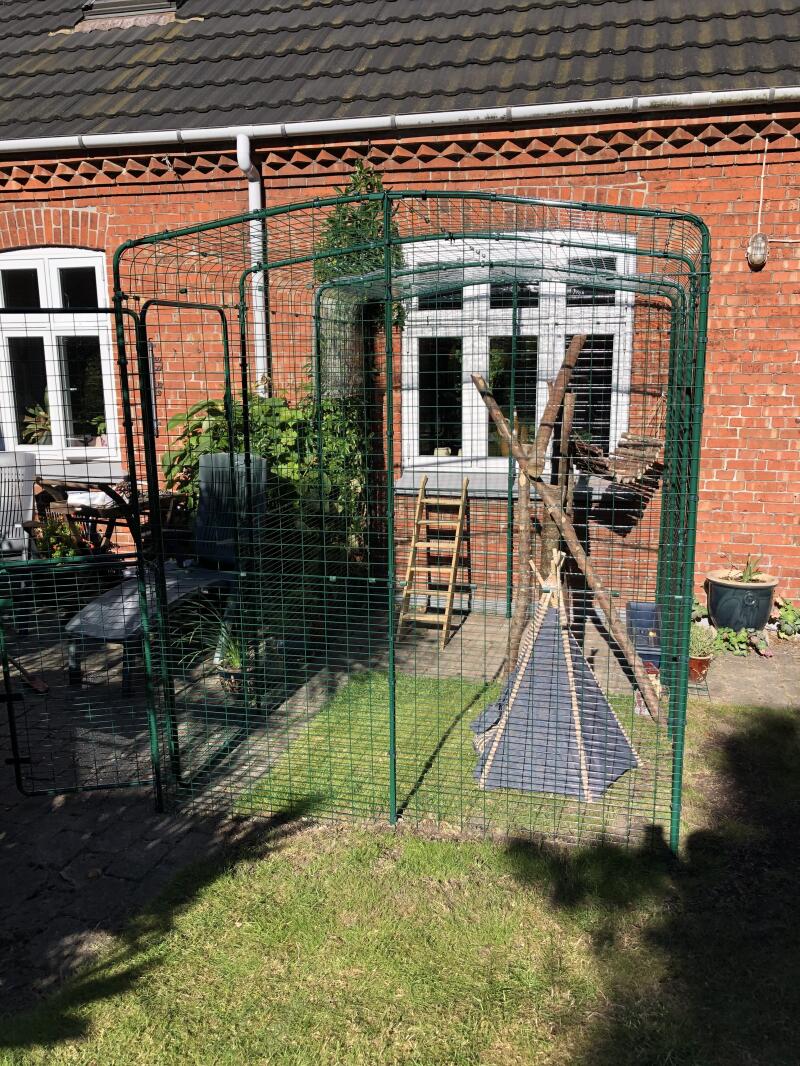 Outdoor Cat Run Extensions Outdoor Cat Runs, Indoor Cat Houses