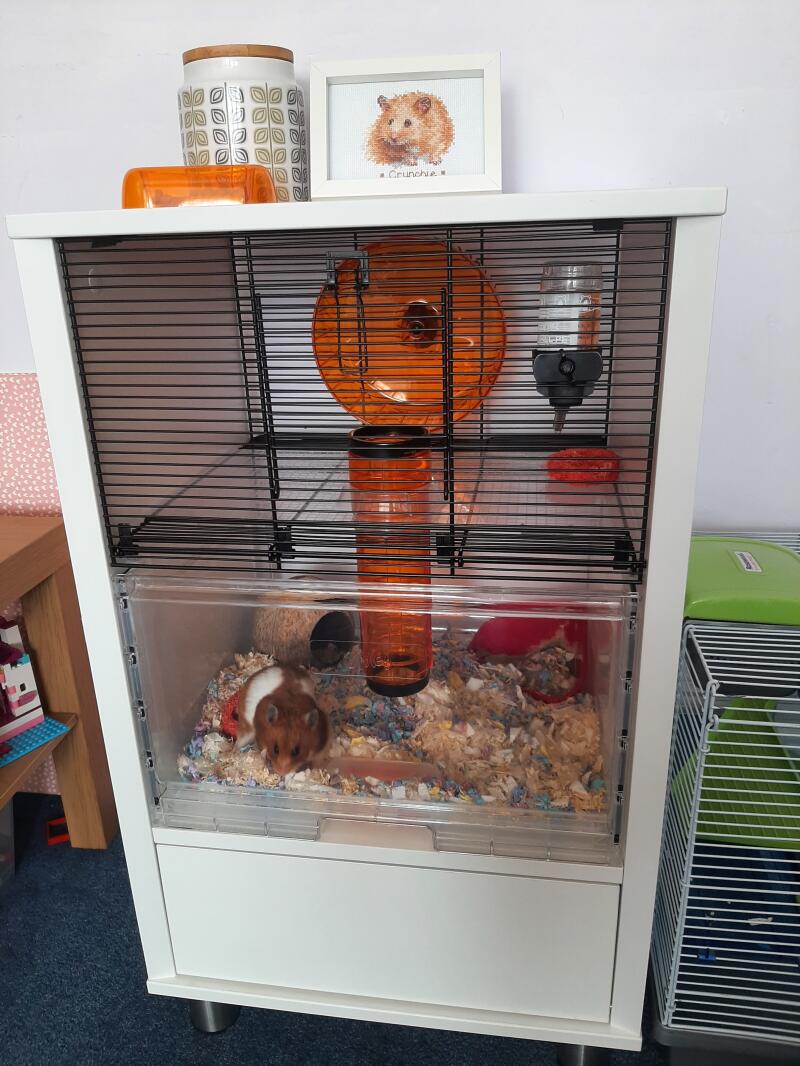 Qute Hamster & Gerbil Cage Stylish Hamster House
