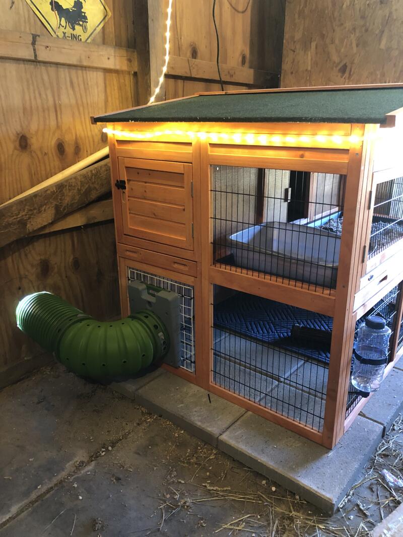 Zippi Guinea Pig Tunnel System Omlet