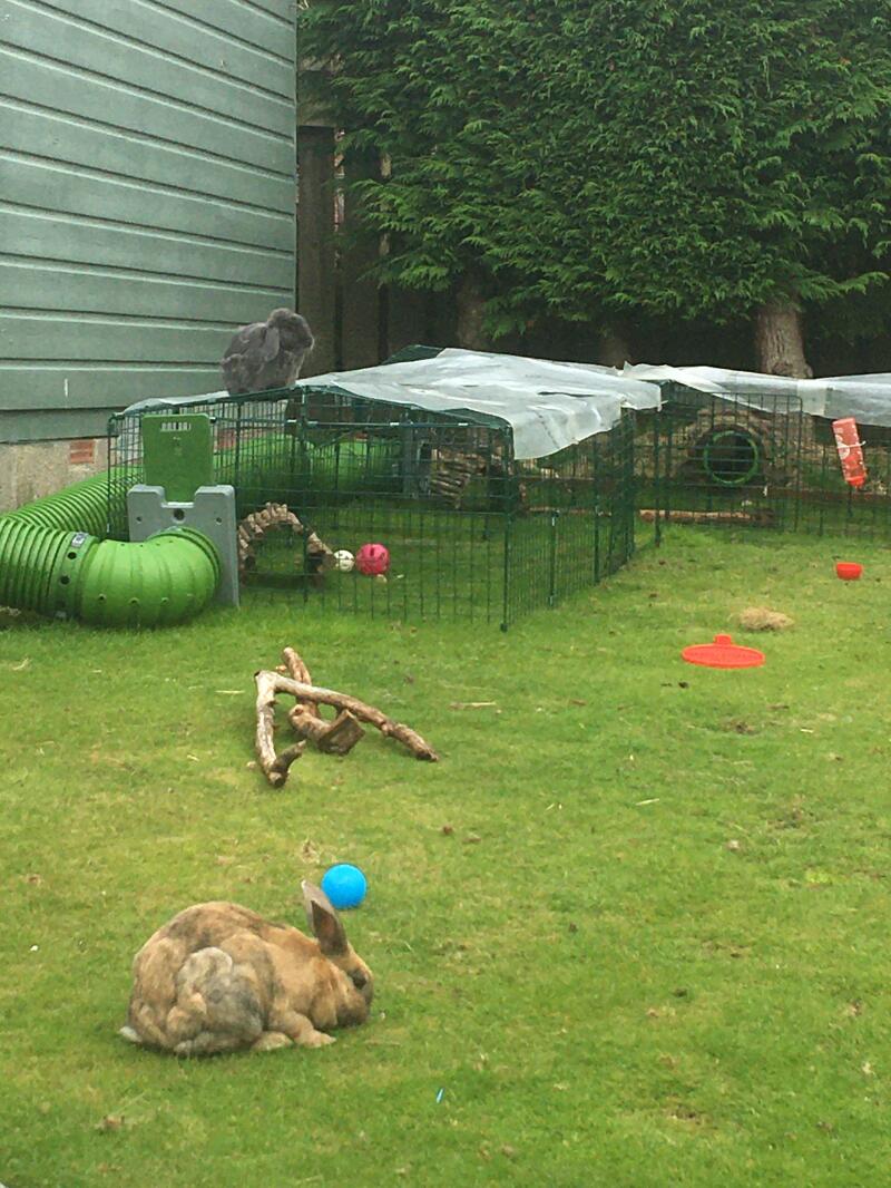 Zippi Rabbit Tunnel System Omlet Rabbit Hutches, Rabbit Tunnel