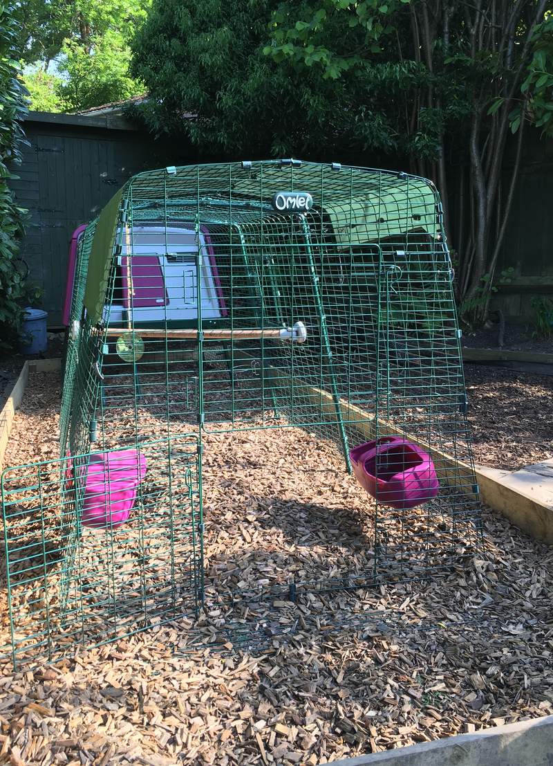 No Grass? Keep Your Chickens on Wood Chips Eglu Guide Chickens Guide