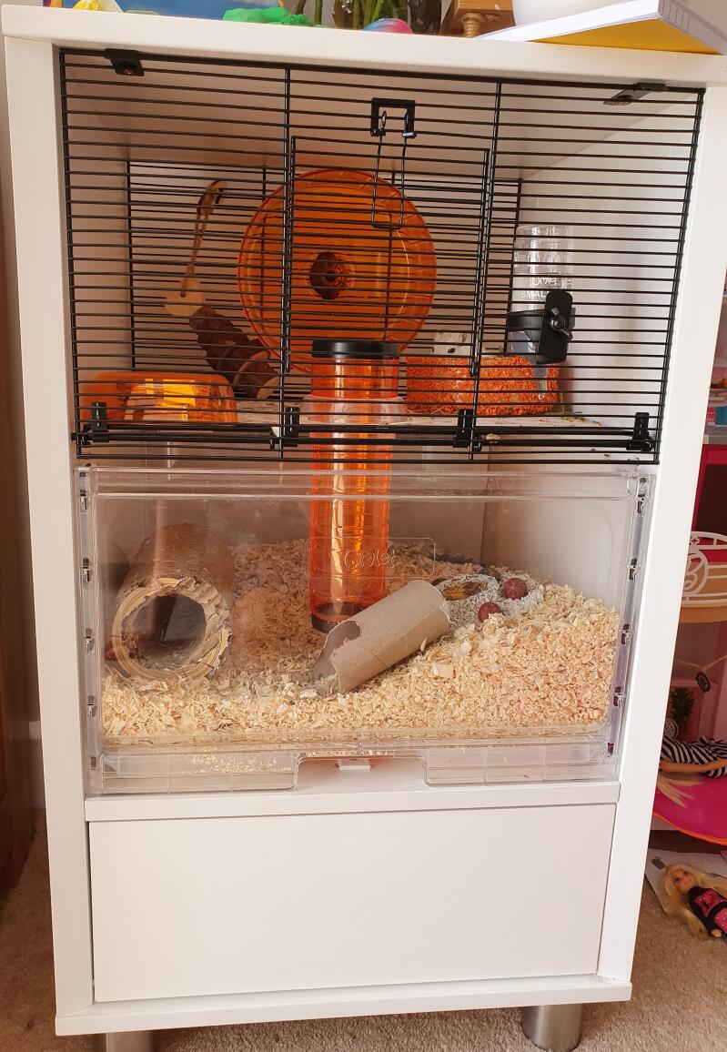 cage hamster omlet