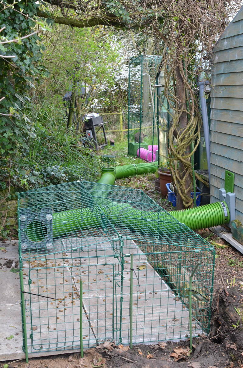 Zippi Guinea Pig Tunnel System | Omlet | Guinea Pig Hutches, Guinea Pig ...