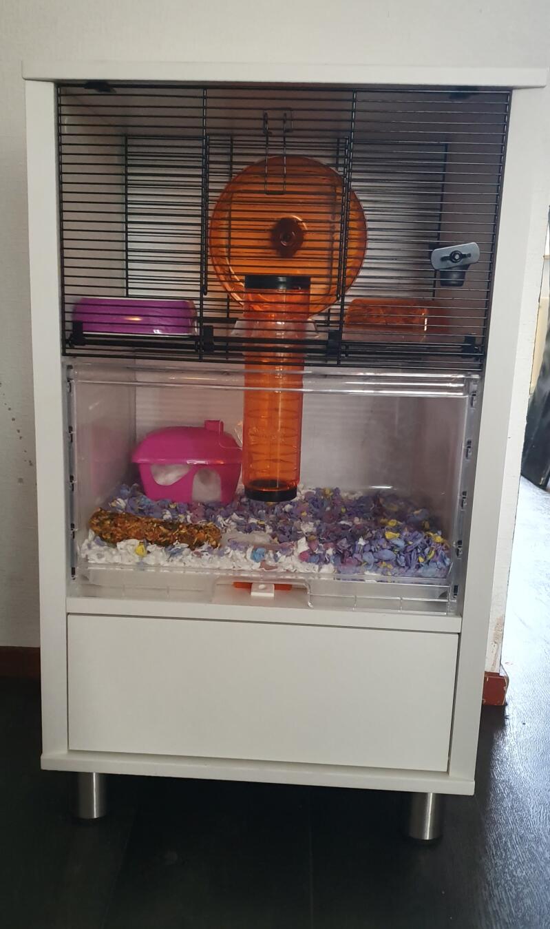 confetti hamster bedding