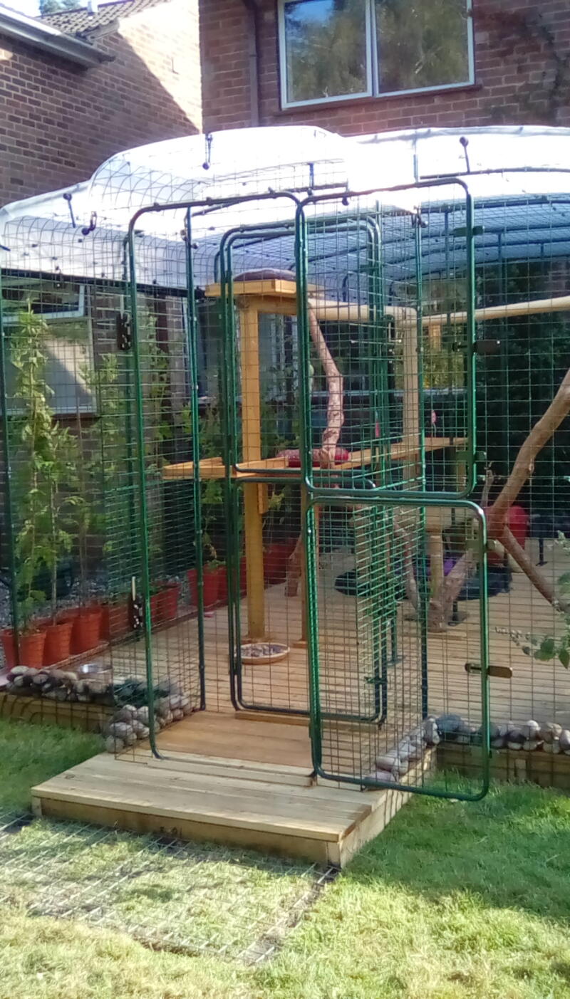 omlet catio
