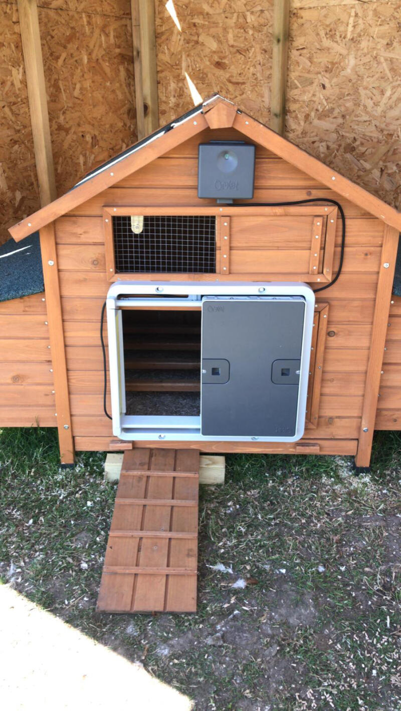 Automatic Chicken Coop Door Opener Omlet