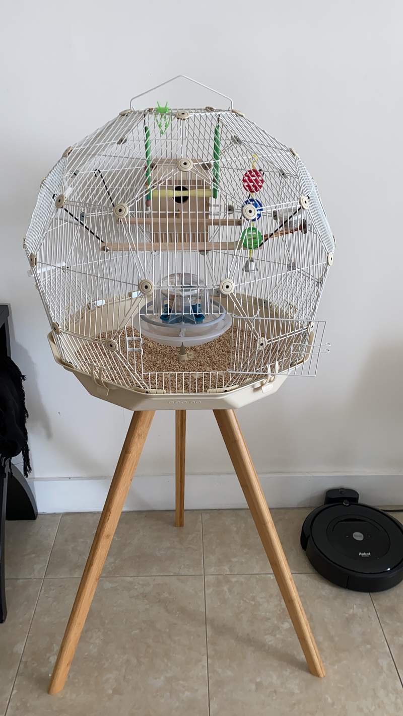Geo Bird Cage The Beautiful Geodesic Budgie Cage