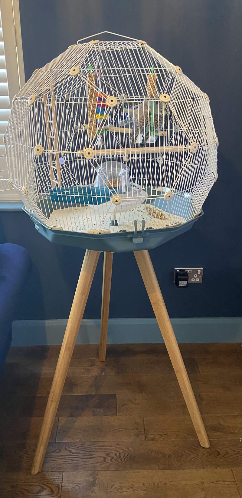 Geo Bird Cage
 Reviews for Geo Bird Cage Birds