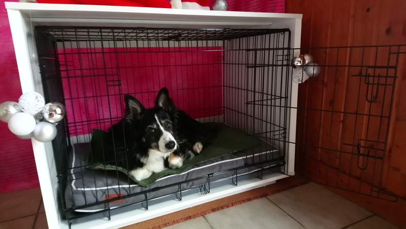 omlet dog crate