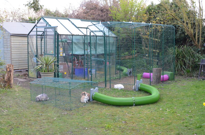 rabbit enclosure outdoor