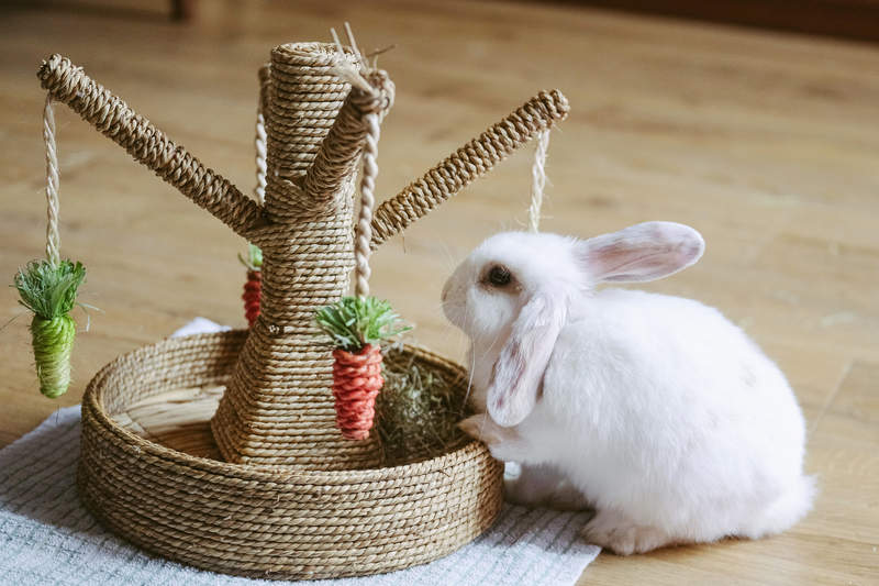 rosewood pet bunny fun tree