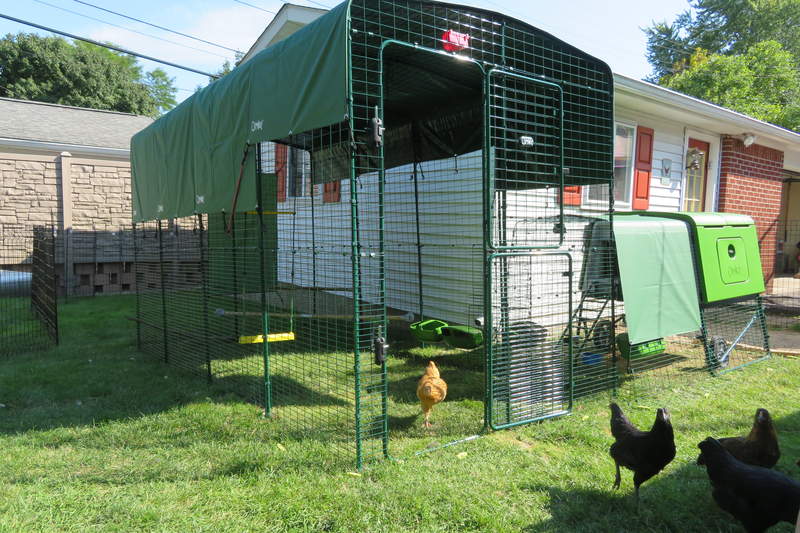 Walk in Chicken Runs Large Chicken Pen Omlet Chicken Coops