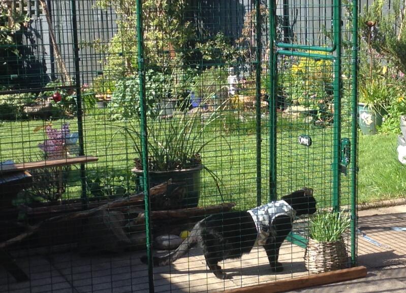 Reviews for Cat Balcony Enclosure Omlet