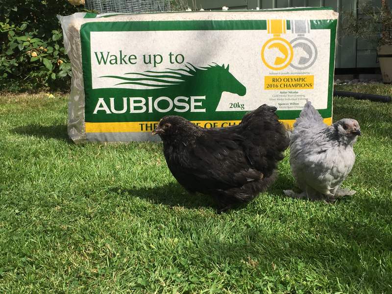 Aubiose Bedding 20kg Poultry Bedding