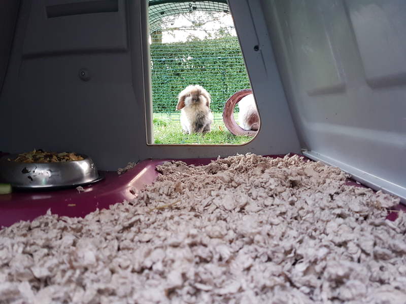 Carefresh Animal Bedding 14L Natural Hamster & Gerbil Bedding