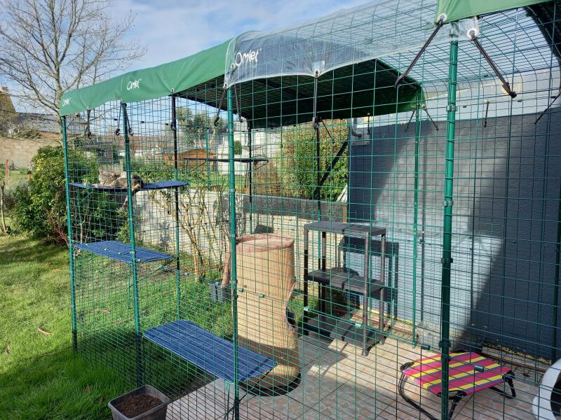 omlet catio