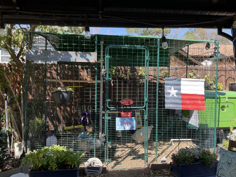 Heavy Duty Chicken Run Cover 2x3 Omlet