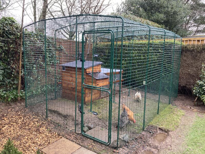 Walk in Chicken Runs Large Chicken Pen Omlet Chicken Coops