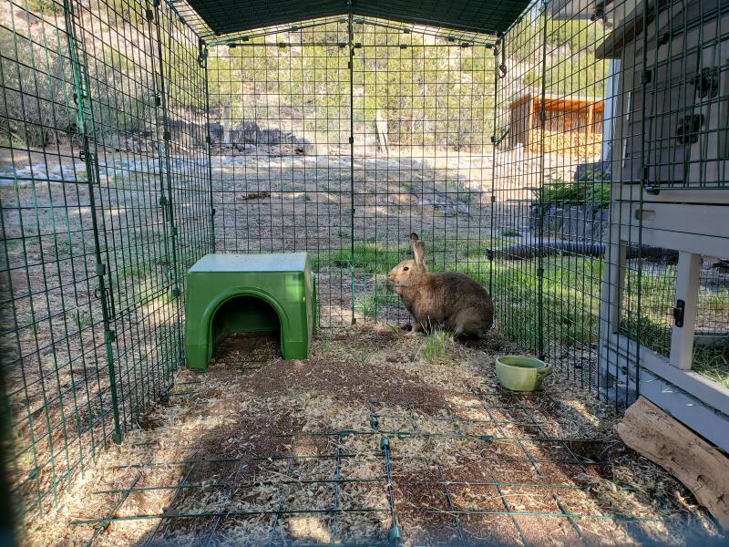 Zippi Rabbit Run with Roof and Underfloor Mesh Double Height Omlet