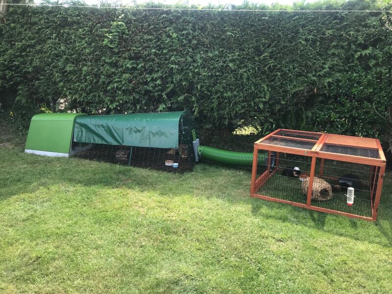 Verified Reviews for Zippi Tunnel Single with Hutch to Run Connection