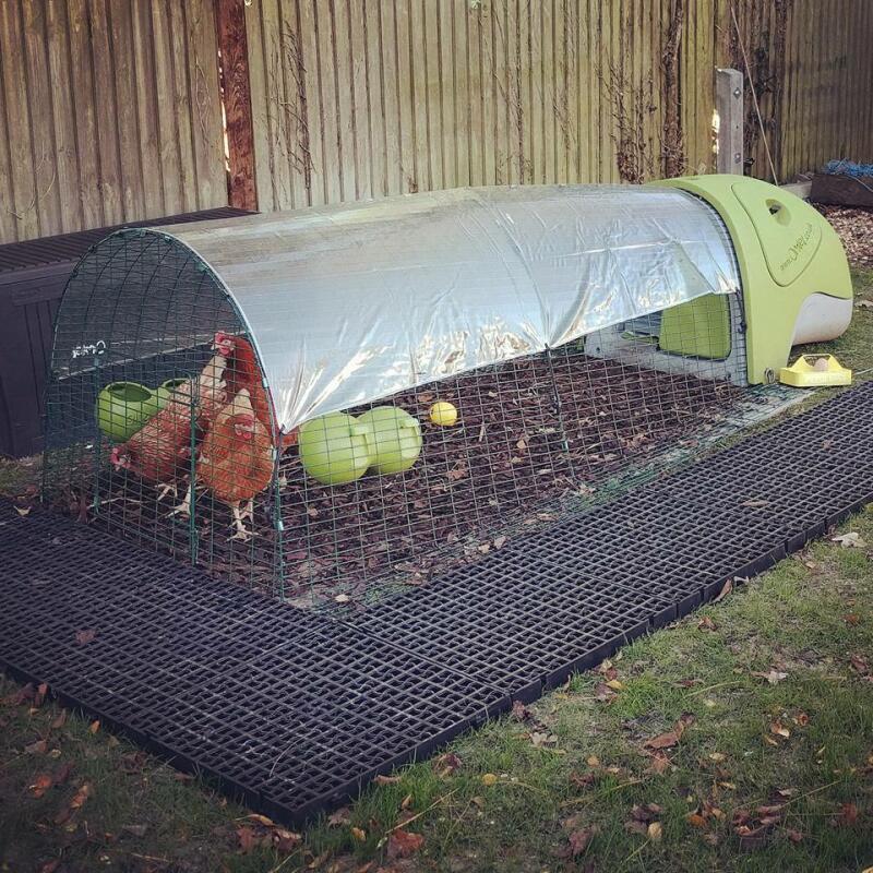 Eglu Classic Chicken Coop Chicken House for 24 Birds Omlet