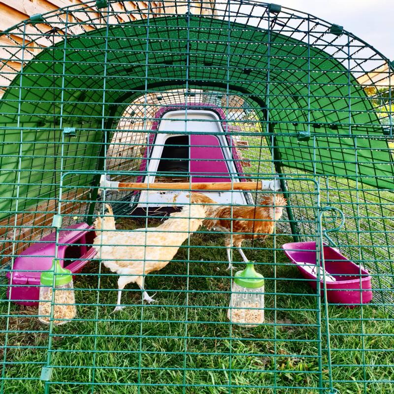 Eglu Go Chicken Coop Plastic Chicken House for 24 Birds Chicken