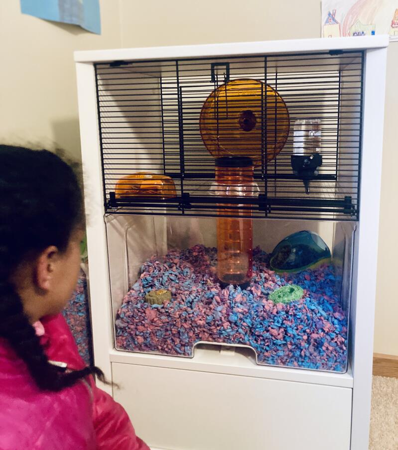 amazing gerbil cages