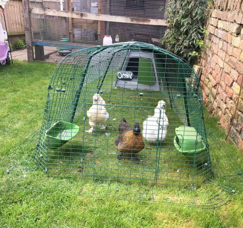 Eglu Go Chicken Coop Plastic Chicken House for 24 Birds