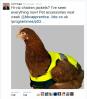 High-Vis Chicken Jackets as seen on The Apprentice