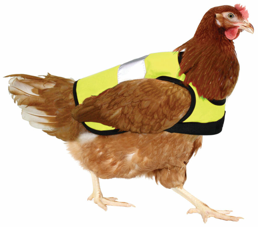 Yellow HighVis Chicken Jacket Omlet