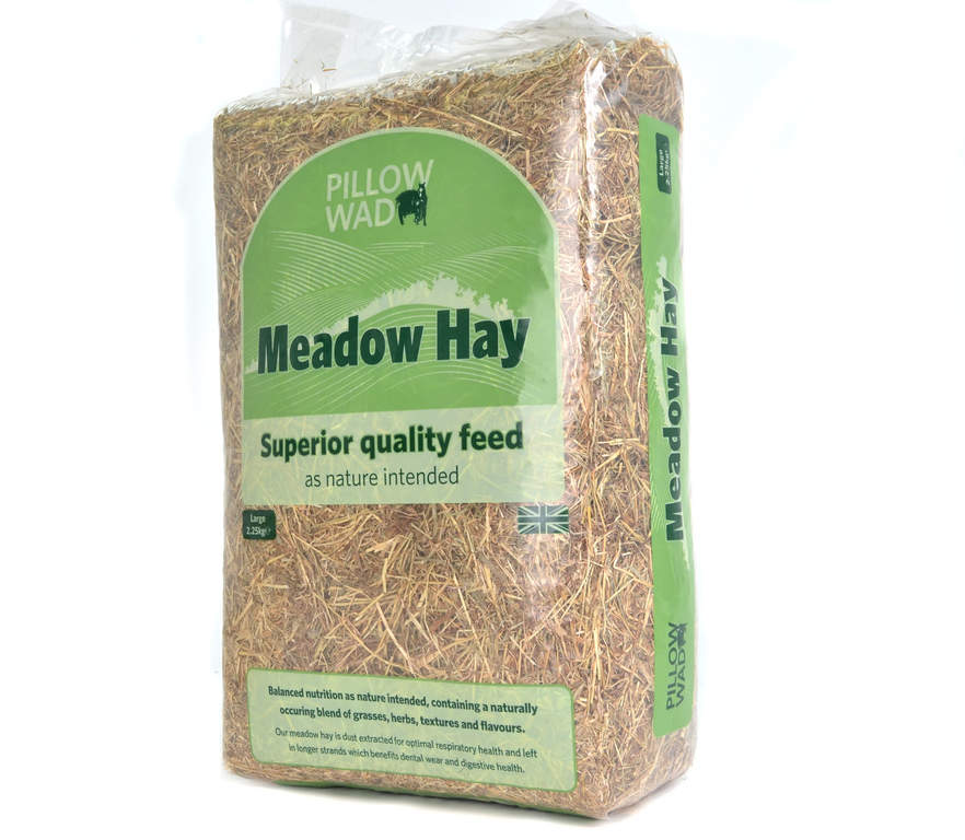Best Hay For Rabbits Uk Get More Anythink's