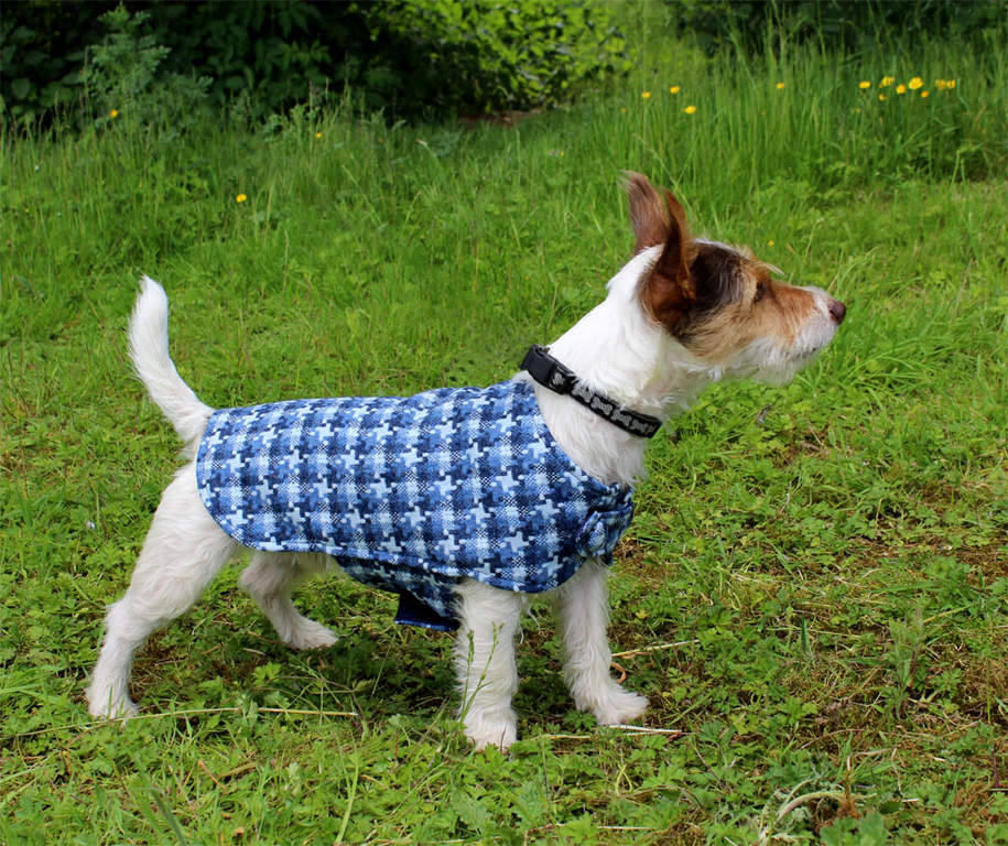 Perdie & Boo Blue Tweed Dog Jacket Small Dog Coats & Fleeces