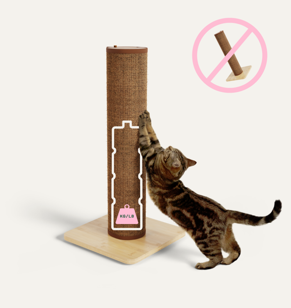 Cat leaning against a strong cat scratcher without it toppling