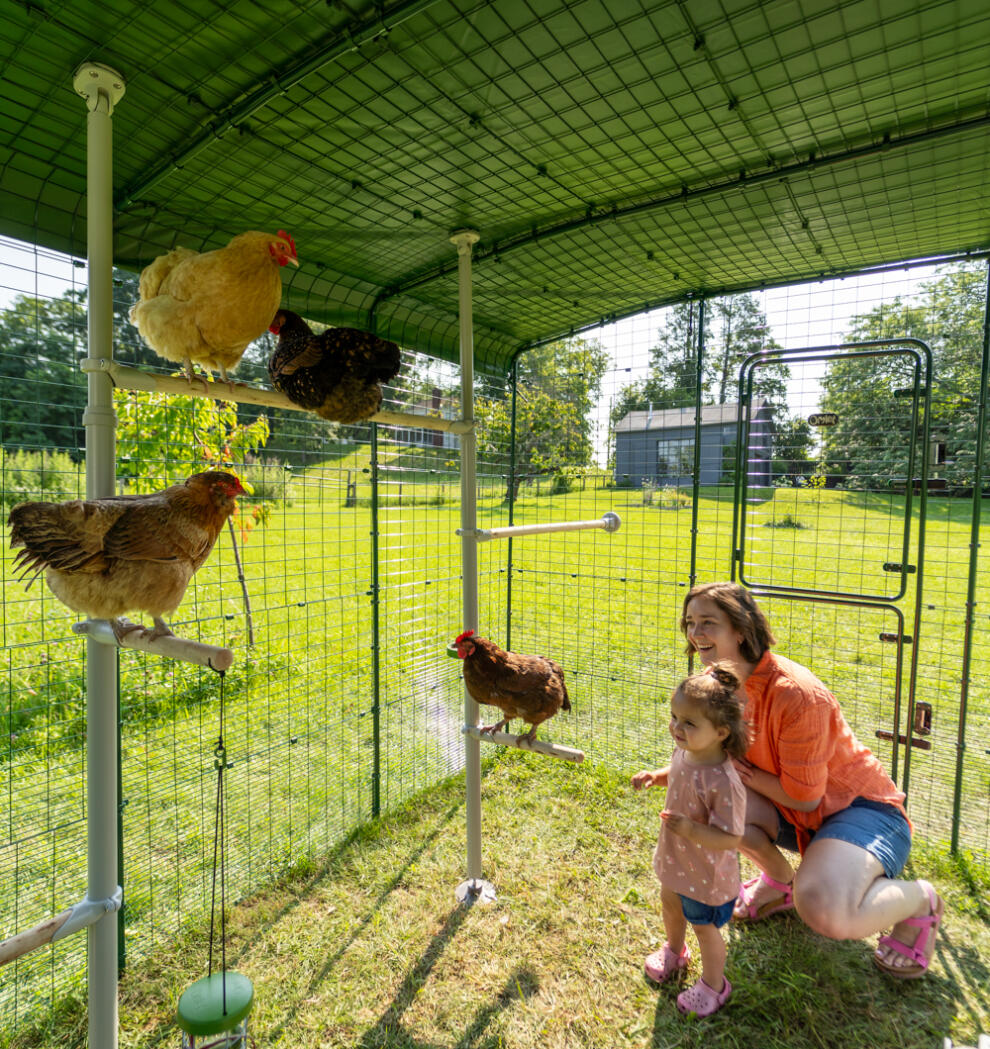 A mother and daughter inside a walk in chicken run interacting with their chickens.