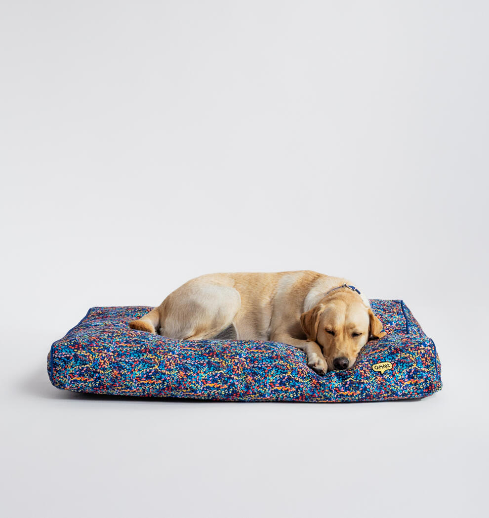 A dog resting on the cushion dog bed