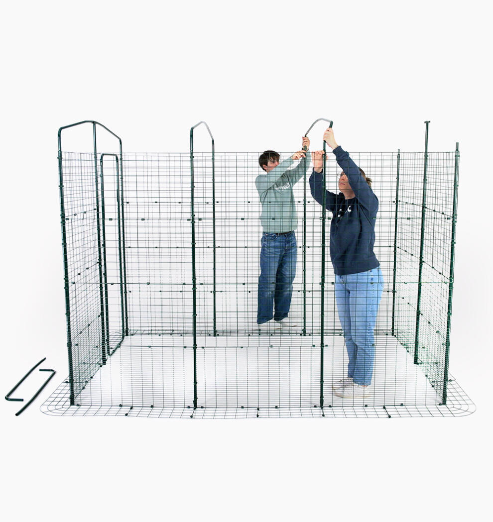 Large Walk in Chicken Runs Omlet