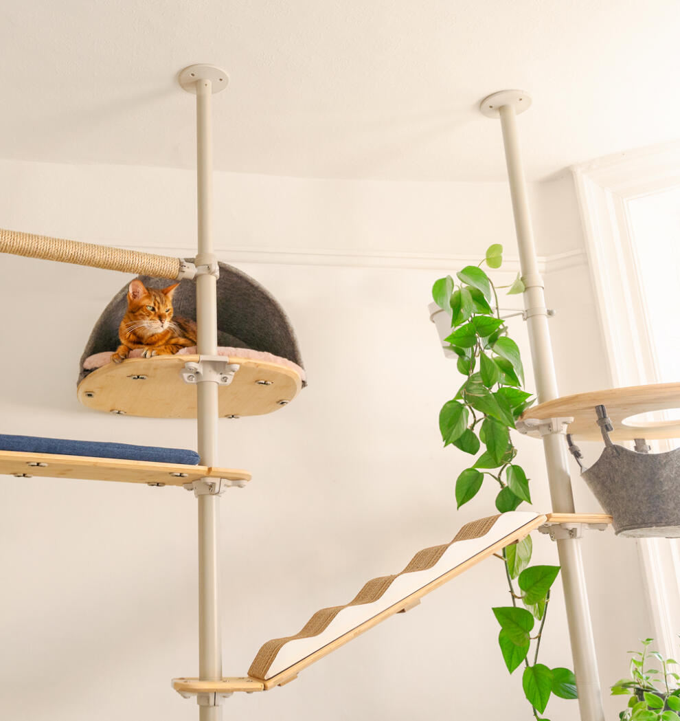 A cat sat high up in the platform den attached to the indoor freestyle cat tree.