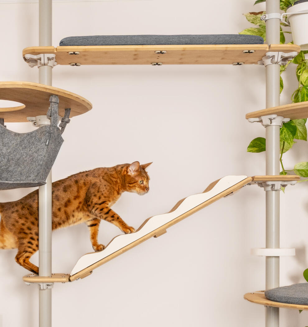 A cat using the indoor freestyle cat tree set up with various accessories.