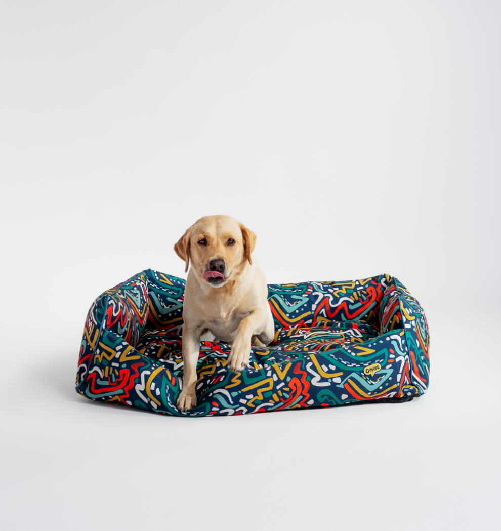 small retriever in an Omlet Nest bed in the zoomies print