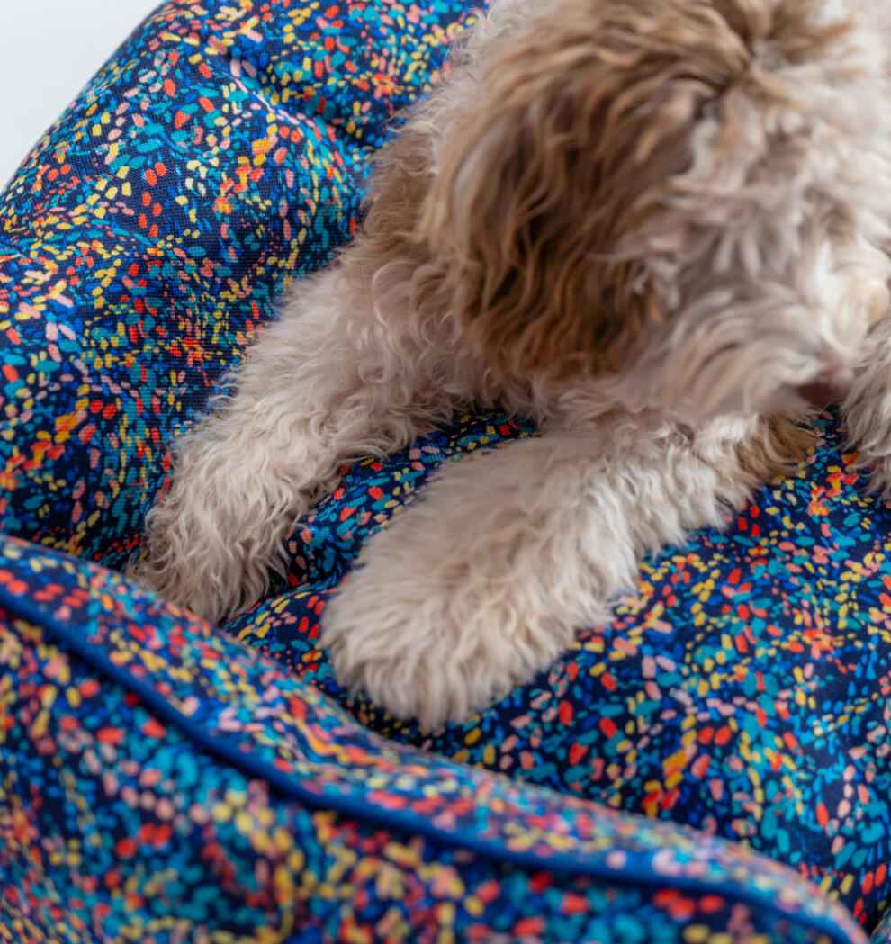 fluffy dogs paws lying on a neon patterned Omlet Nest dog bed